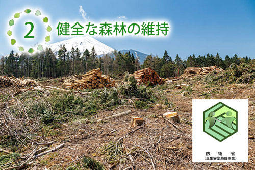 健全な森林の維持